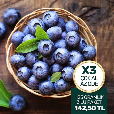 Organik Yaban Mersini 125 g .